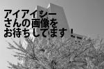 台東区の（株）アイアイシー