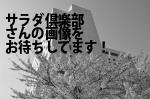豊島区の（有）サラダ倶楽部