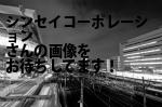 台東区の（株）シンセイコーポレーション