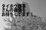 台東区のタイホウ商事