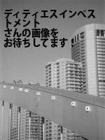 千代田区の（株）ディ・ティ・エスインベストメント