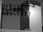 港区のハッピーレディース