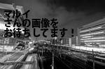 新宿区の（株）マルイ