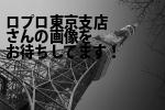 千代田区の（株）ロプロ東京支店