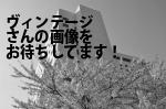 新宿区のヴィンテージ（株）