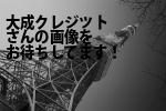 千代田区の大成クレジツト（株）