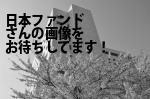 新宿区の日本ファンド（株）／お問合せ